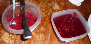 Sandy-HomemadePlumJam