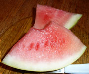 Irene-Watermelon