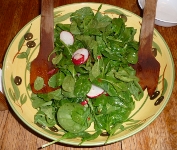 John-Salad