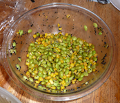 BrianAndBrenna-EdamameSalad