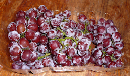 Someone-Grapes