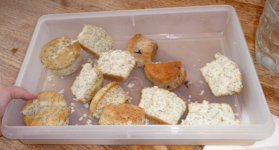 McGrewKids-AssortedMuffins