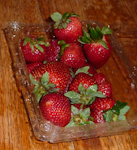 Someone-Strawberries