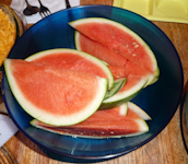 TylerAndIlana-Watermelon