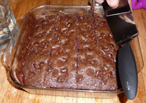 Willa-ChocolateCakeWithChocolateChips