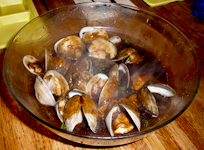 John-ClamsWithYummySauce