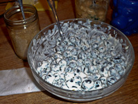 Katy-BlueberriesWithYogurtAndFancySugar