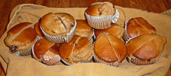 Liz-ApplesauceCraisinMuffins