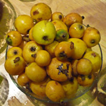 Bela-Loquats