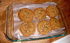 Liz-OatmealCinnamonCookies