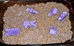 Someone-RiceKrispiePeeps