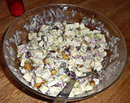 Irene-AppleCranberryFennelHazelnutEtcSalad