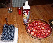 Lubkins-BlueberryAndStrawberryShortcake2