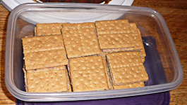 LubkinGirls-FrostingGrahamSandwhiches