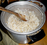 Rice