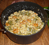 Evan-Tortolinni