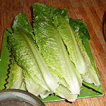 Irene-Lettuce