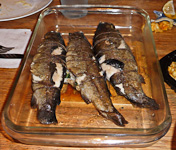 Irene-StuffedTrout