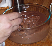 Willa-ChocolatePudding