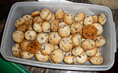 Liz-ChocolateChipButterCookies